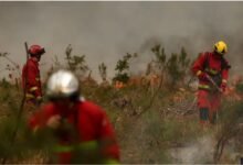 Firefighters in France busily working to put off the fire