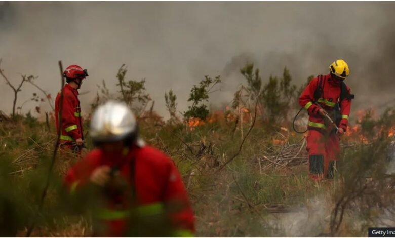 Firefighters in France busily working to put off the fire
