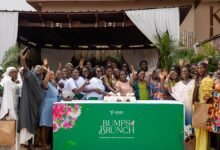 Mrs Agyei (seventh from left) and other participants cutting the cake to mark the day