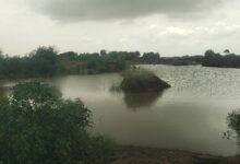 Effect of illegal sand winning at Tsopoli