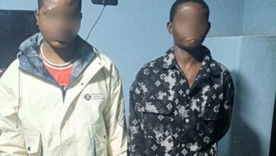 The suspects