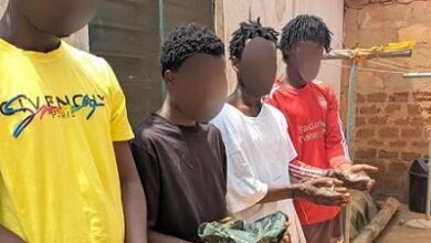 Some of the suspects