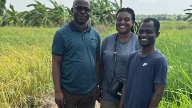 Dr Stephen Yeboah (left), Dr Patricia-Amankwaah Yeboah (middle) and Dr Vincent Opoku Agyeman on one of the rice farm