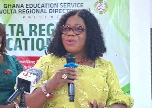 Professor Mrs Smile Dzisi (inset) addressing the participants