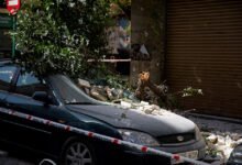 A fallen tree branch lies atop a damaged vehicle on a street