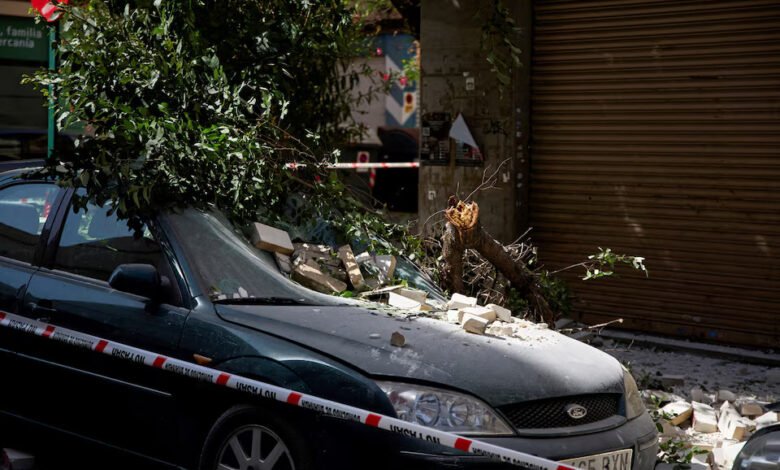 A fallen tree branch lies atop a damaged vehicle on a street