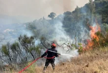 A firefighter works to extinguish a fire in Taourirt Ighil in the mountainous Bejaia province, Algeria