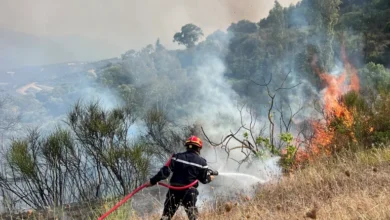 A firefighter works to extinguish a fire in Taourirt Ighil in the mountainous Bejaia province, Algeria