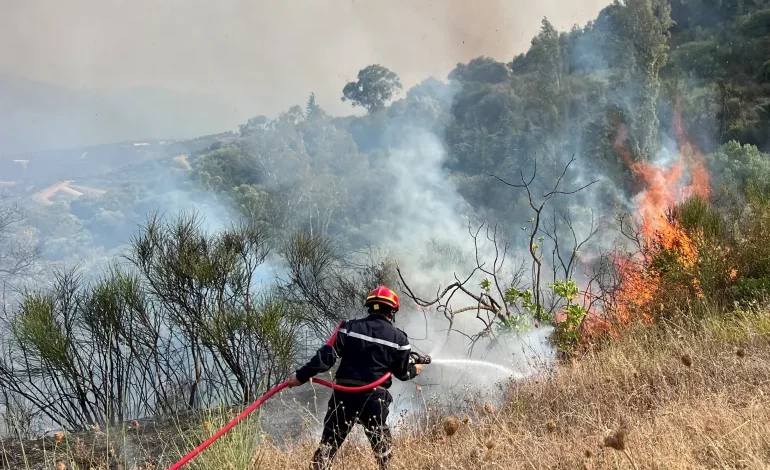 A firefighter works to extinguish a fire in Taourirt Ighil in the mountainous Bejaia province, Algeria