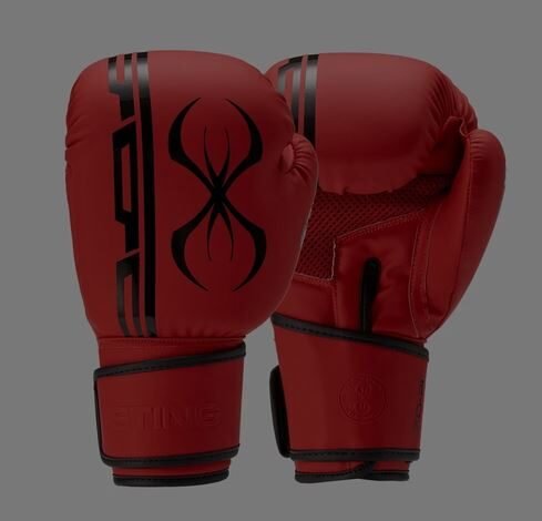 A set of boxing gloves