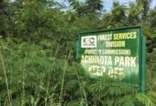 AWSP applauds govt over Achimota Forest restoration