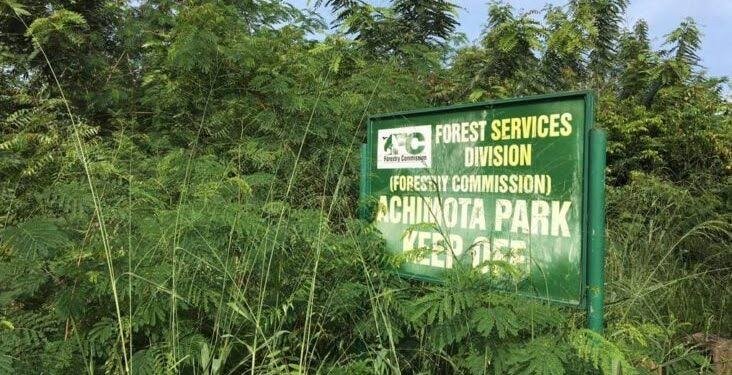 AWSP applauds govt over Achimota Forest restoration