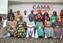 Dignitaries at the summit