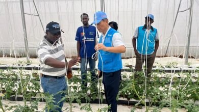 Dr. Young-jin Kim (right) and some researchers during the inspection