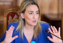 Milagros Tolón
