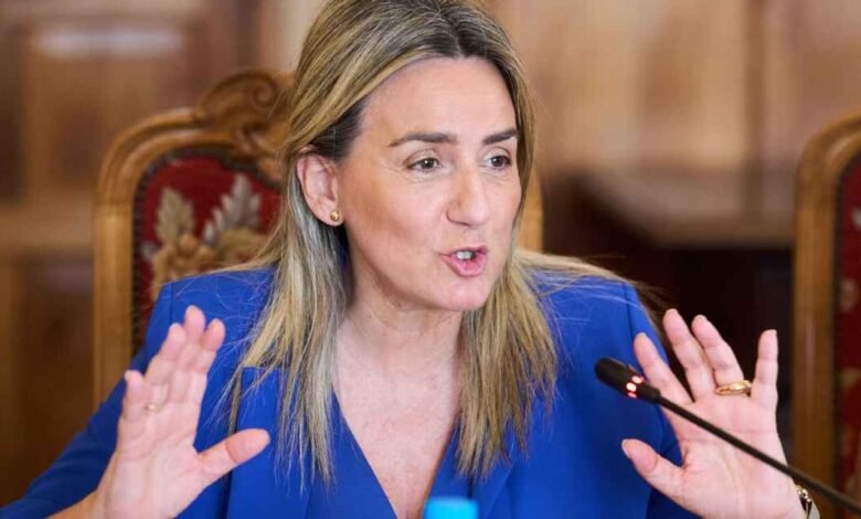 Milagros Tolón