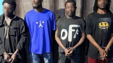 The suspects