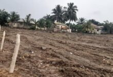 The destruction of the fences at the veterinary farm