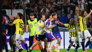 Fenerbahce's Nene Dorgeles tries to seperate teammates Matteo Guendouzi (R) and Lyon's players