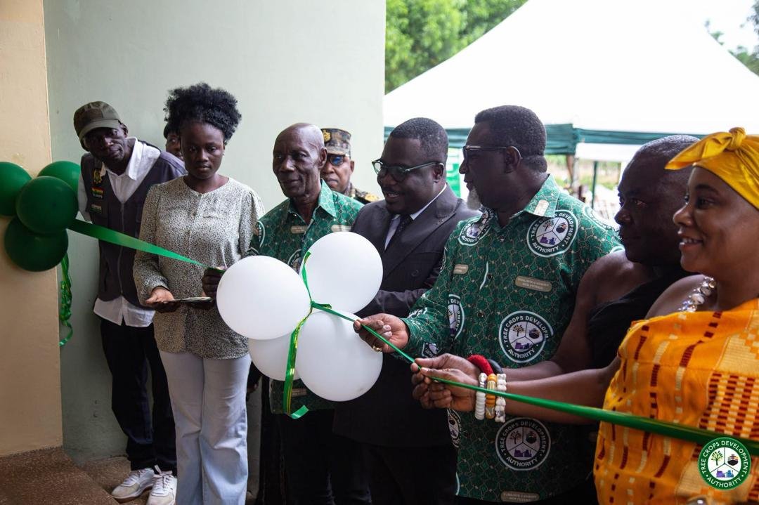 Keep illegal miners off tree-crop farms — TCDA