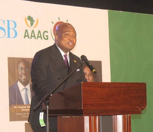 Mr Okudzeto Ablakwa (inset) addressing participants at the conference. Photo. Ebo Gorman