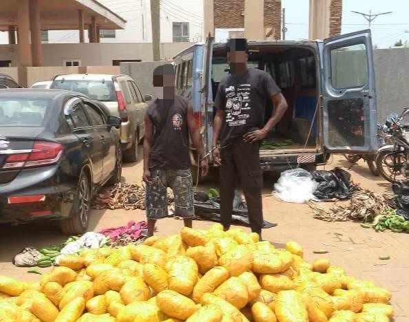 Police arrest 2, seize 692 parcels of suspected Indian hemp at Dawhenya