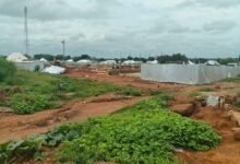 The land cleared for the 24 hour market