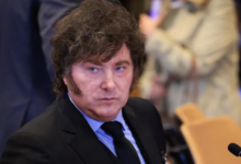 President Javier Milei