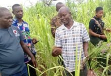 Mr Abentara (right) briefing journalists on the farm