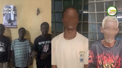 Some of the suspects