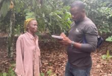 Ms Rebecca Owusuaa, speaking to the Ghanaian Times reporter at her cocoa farm at Boakyekrom