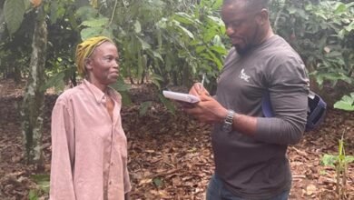 Ms Rebecca Owusuaa, speaking to the Ghanaian Times reporter at her cocoa farm at Boakyekrom