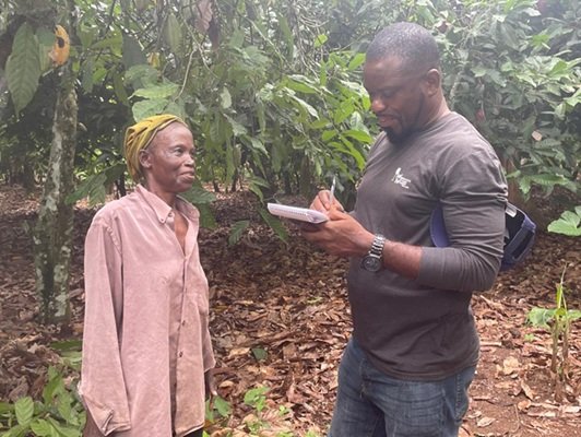 Ms Rebecca Owusuaa, speaking to the Ghanaian Times reporter at her cocoa farm at Boakyekrom