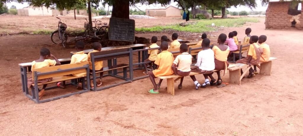 Pupils studying under the tree