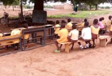 Pupils studying under the tree