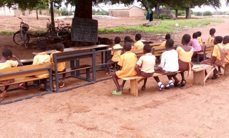 Pupils studying under the tree