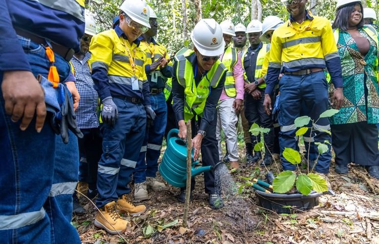 Dr Agyeman-Rawlings, watering a tree at the Akyim Mine Restoration Project during a site inspection visit