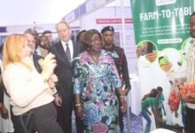 Mrs Elizabeth Ofosu-Adjare (right) and other EU officials being briefed at one of the exhibition stands. Photo Ebo Gorman