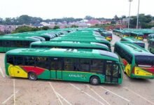 Ayalolo buses