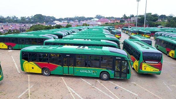Ayalolo buses