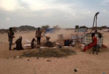 Gold panners break stones in Kidal