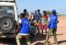 IOM workers receiving migrants near Guhere, north of the port town of Obock