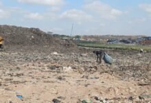 -A scavenger picking through debris at the cleared site
