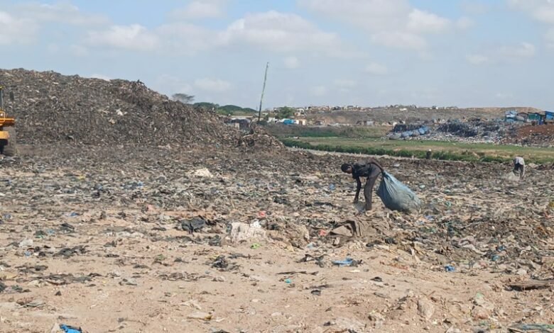-A scavenger picking through debris at the cleared site