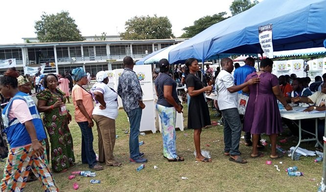 Ho Central Constituency delegates in a queue to cast their votes