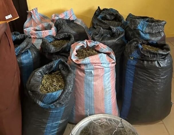The suspected sacks of Indian hemps