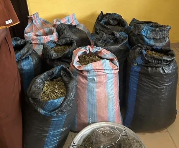 The suspected sacks of Indian hemps