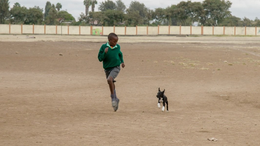 Children, biggest victims of rabies – WHO